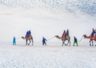 White Rann of Kutch